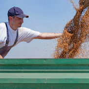Agricultural Loans